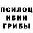 Галлюциногенные грибы Cubensis prasanna222591