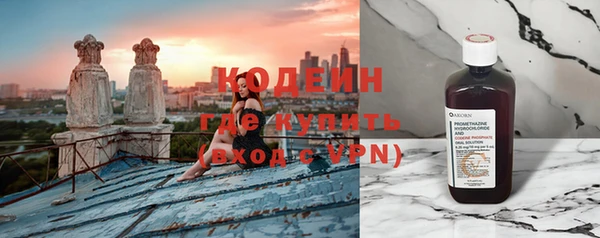 индика Бронницы