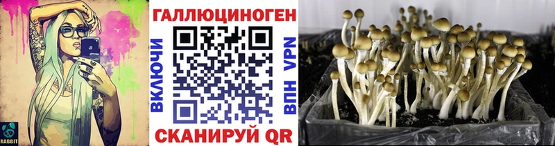 мега   цены наркотик  Кинель  Псилоцибиновые грибы прущие грибы 